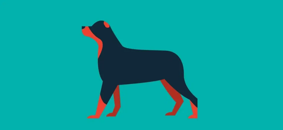 Illustration of a Doberman for the 20-minute dog walk
