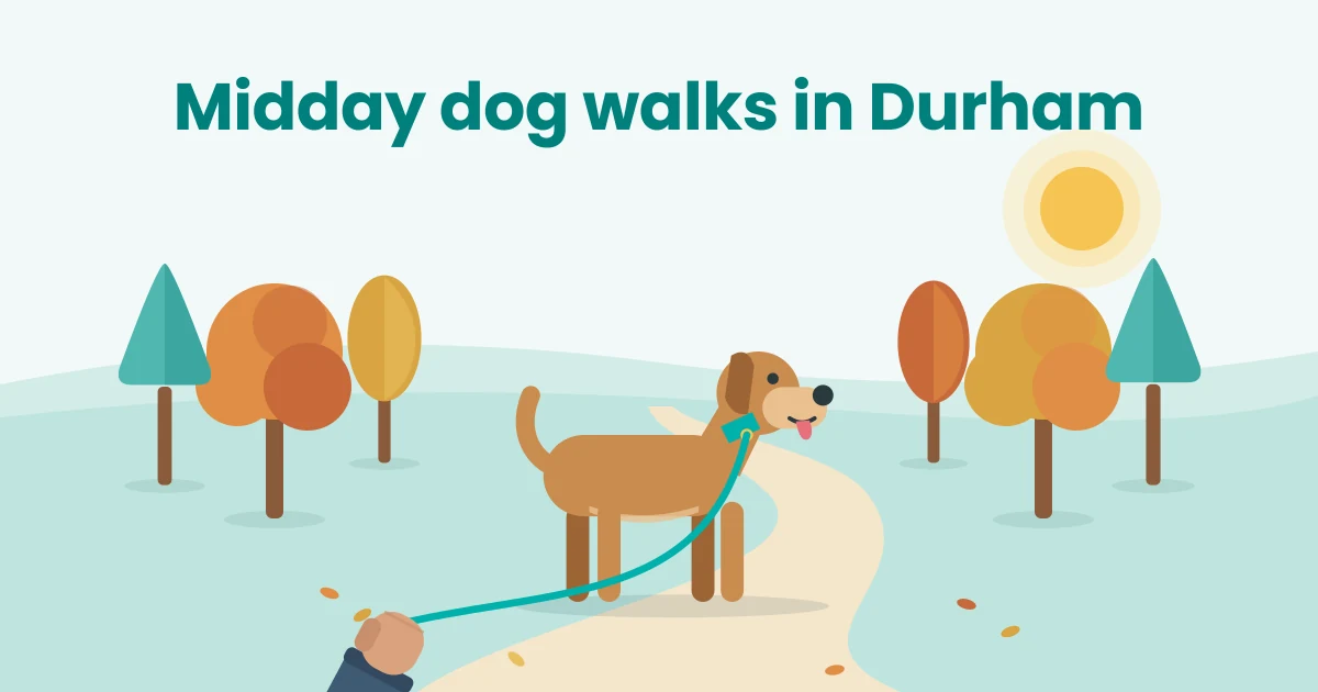 Illustration of a happy dog on a teal leash walking a tree-lined fall path under the midday sun, with the words Midday dog walks in Durham.