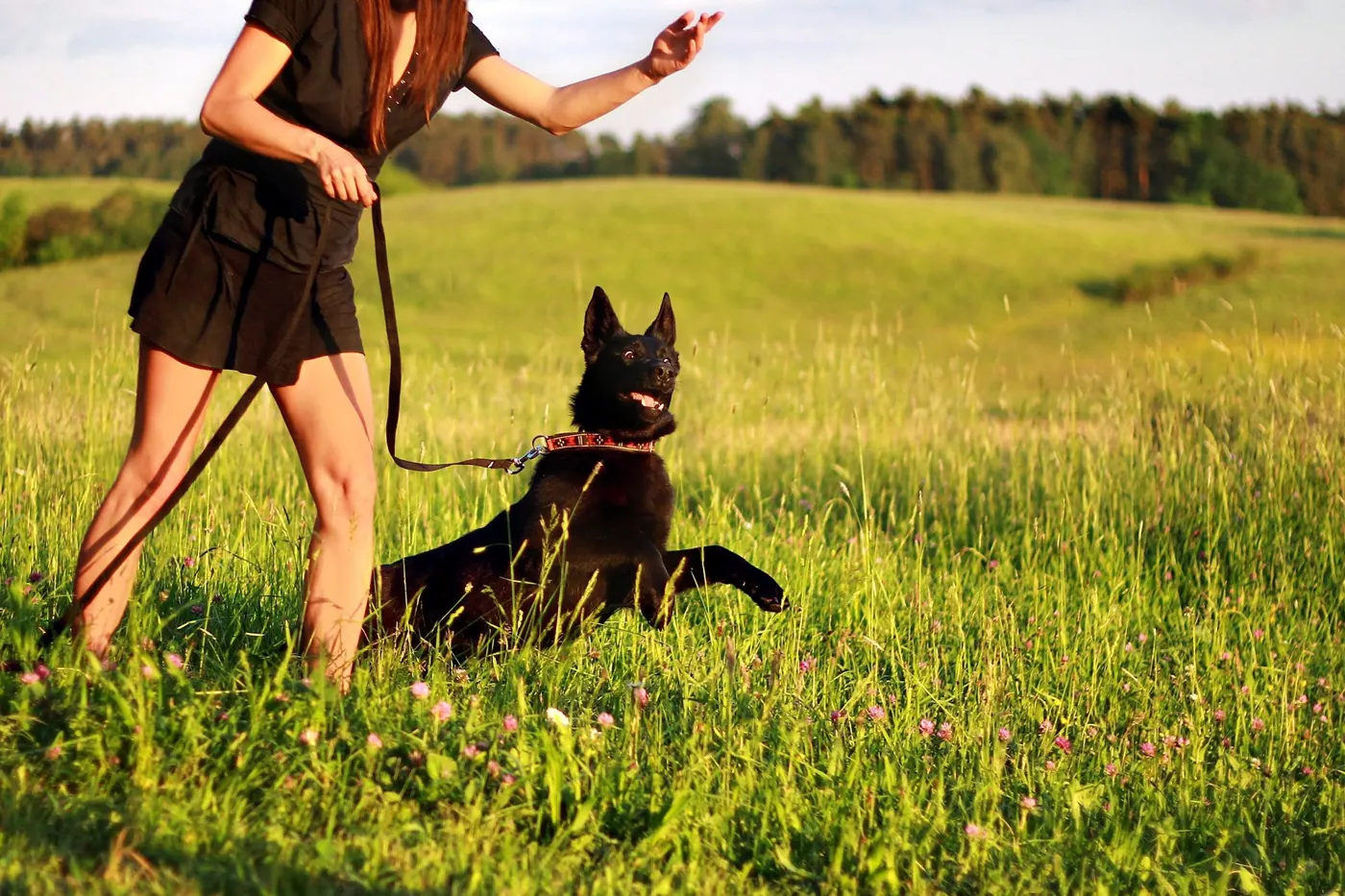 Woman walking a black dog through a green meadow